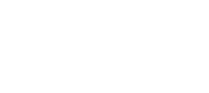 google partner logo