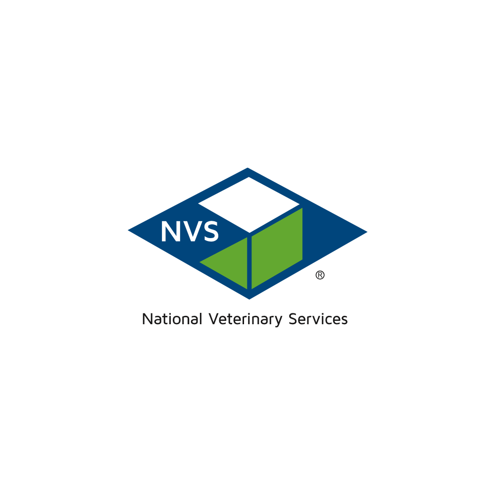 NVS Logo