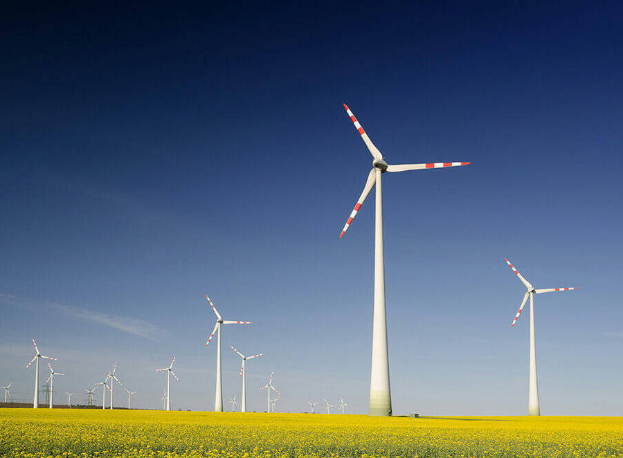Multiple wind turbines stood in a field of bright yellow rapeseed flowers under a clear blue sky